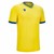 Yellow/Royal Blue